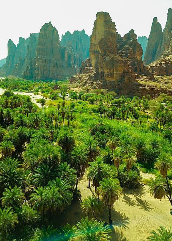 وادي الديسة.. سحر الطبيعة الخلابة والأجواء الساحرة في تبوك