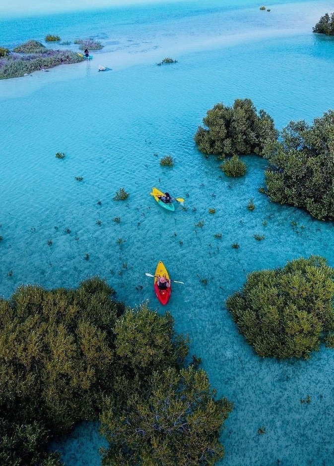 حديقة قرم الجبيل JUBAIL MANGROVE PARK