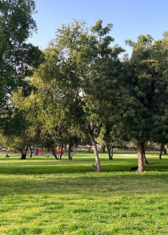 منتزه الملك فهد في نجران.. وجهتكِ المميزة للاستمتاع بالطبيعة الخلابة