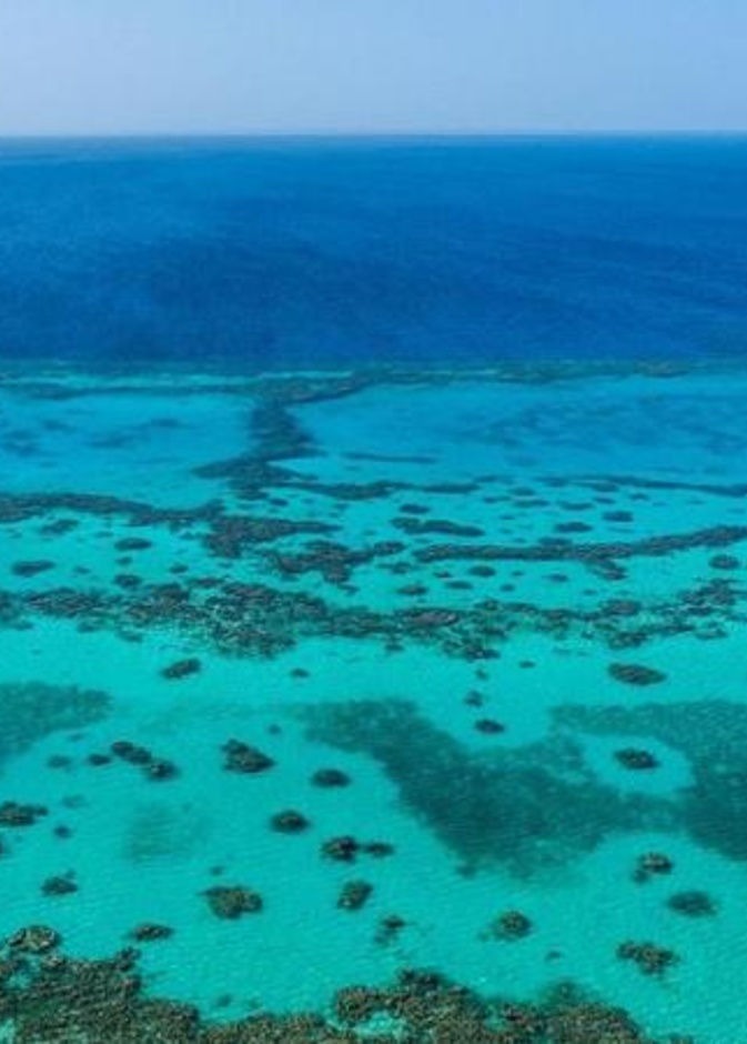 افضل الوجهات البحرية للاحتفال بعيد الحب في المملكة