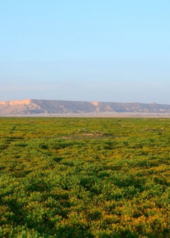 محمية الملك عبدالعزيز الملكية توقع عقود تأسيس منتجعين سياحيين في روضة الخفس وقلتة أم قليدة