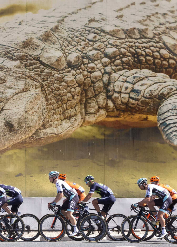 32 سباق تعزز مكانة دبي على خارطة الدراجات الهوائية العالمية