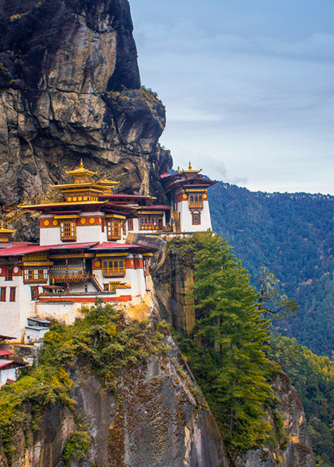  رينبونغ دزونغ Rinpung Dzong-Rahul Viswanath