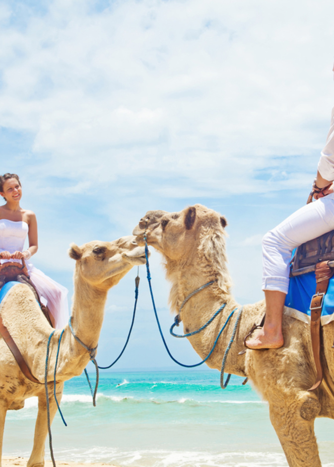 shutterstock_يمكن للعروسين اقامة حفل زفاف رومانسي في عيد الحب في الامارات