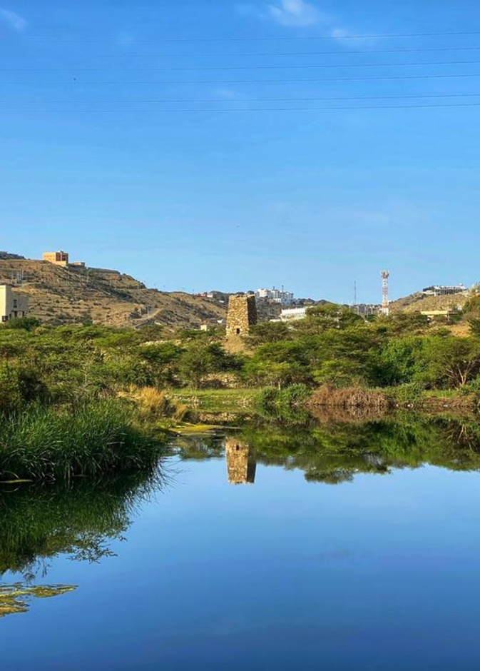 4 وجهات ساحرة لعشاق التخييم في الباحة