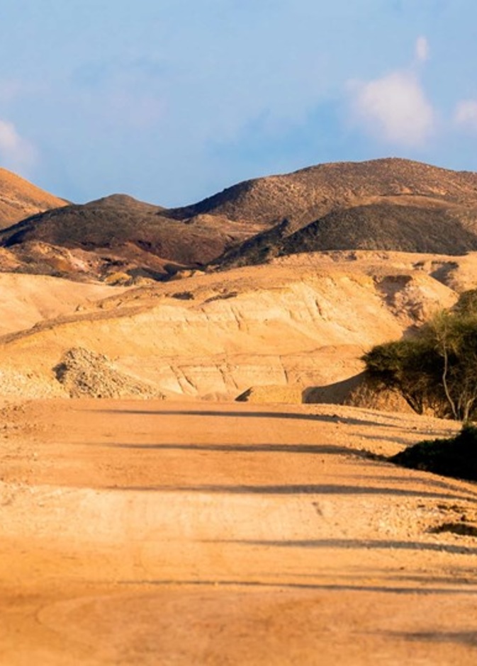 منتزه الحياة البرية العربية في أبوظبي.. وجهة عالمية لعشاق المغامرات في أحضان الطبيعة