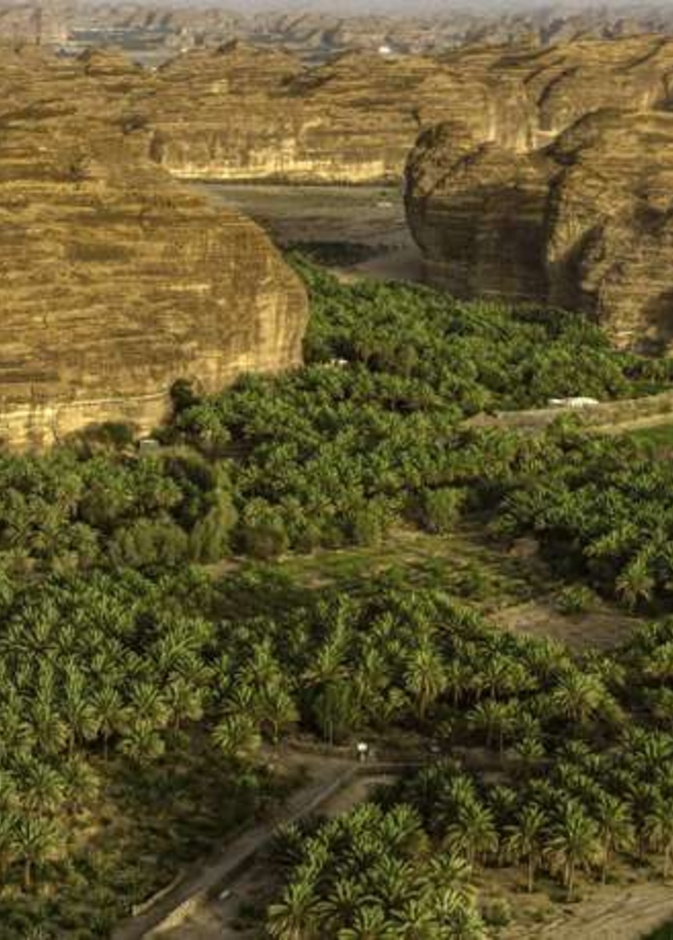 الطبيعة الساحرة للعلا - المصدر @khaledalharttyy.