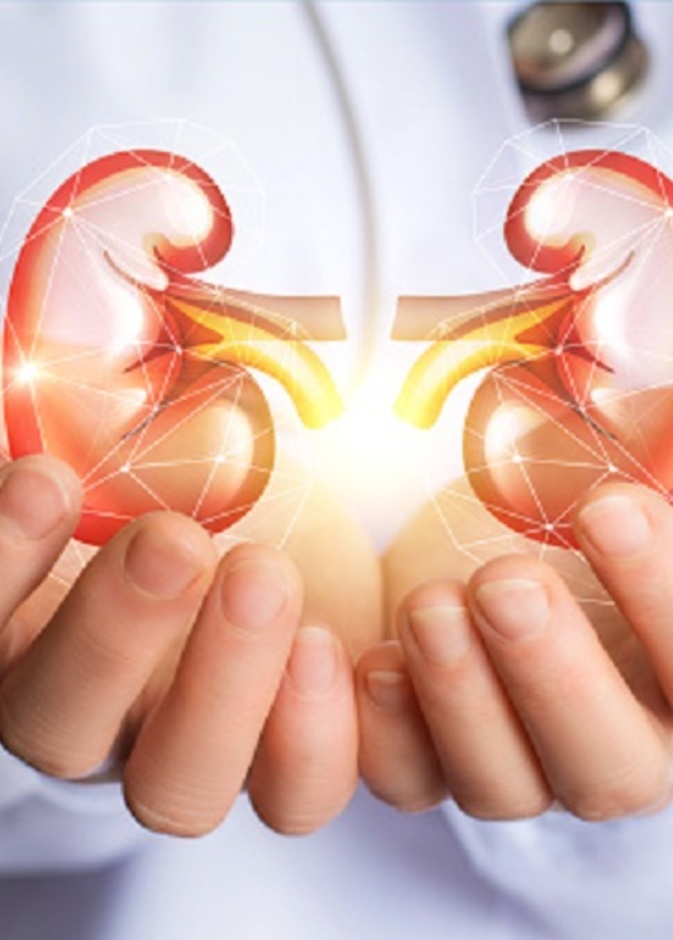 دراسة توضح فائدة الشاي والقهوة لصحة الكلى