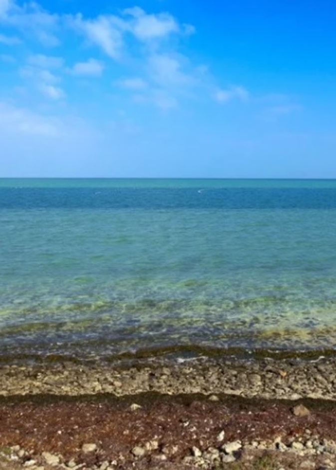 شاطئ المرفأ.. أجواء ساحرة وعروض ترفيهية لا تتوقف على مدار العام بأبوظبي 