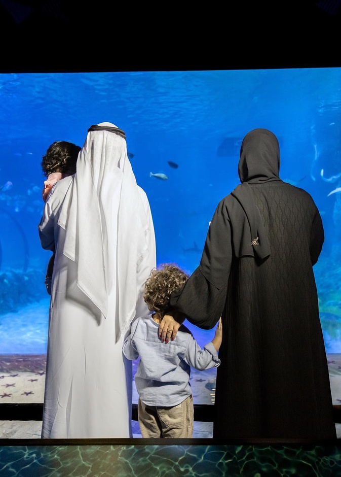 ناشونال أكواريوم أبوظبي.. متعة المغامرة مع أسماك القرش في الإمارات