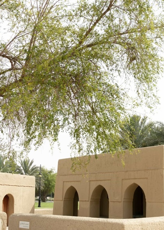 مسجد الجاهلي.. منارة إسلامية وتجربة تاريخية ساحرة في أبوظبي