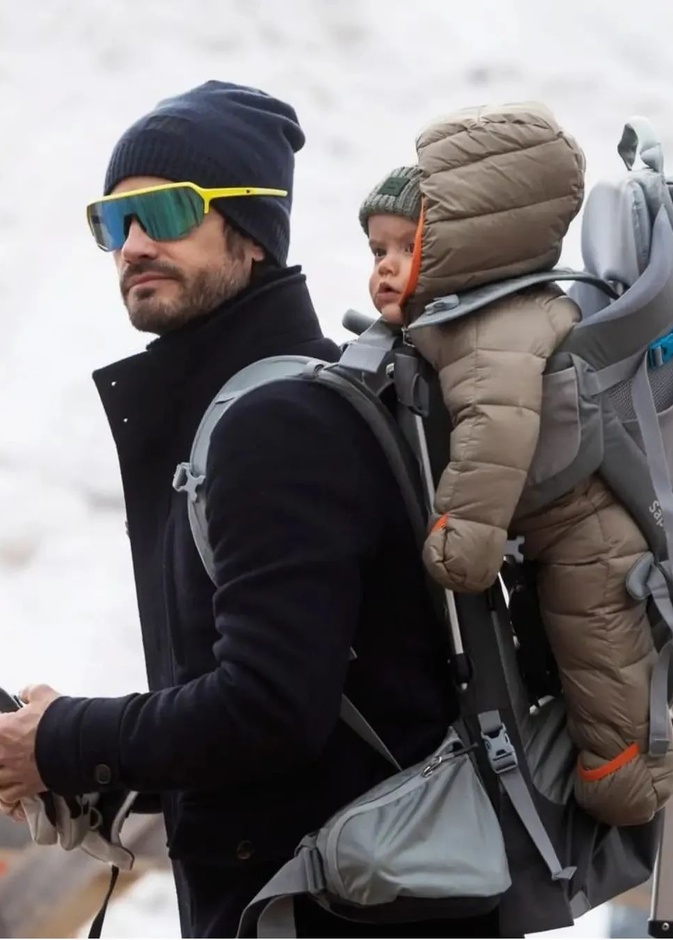 تغريم الأمير كارل فيليب لتجاوزه السرعة