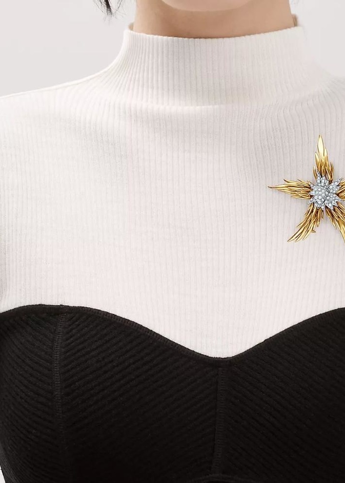 بروش من Tiffany & Co. Schlumberger