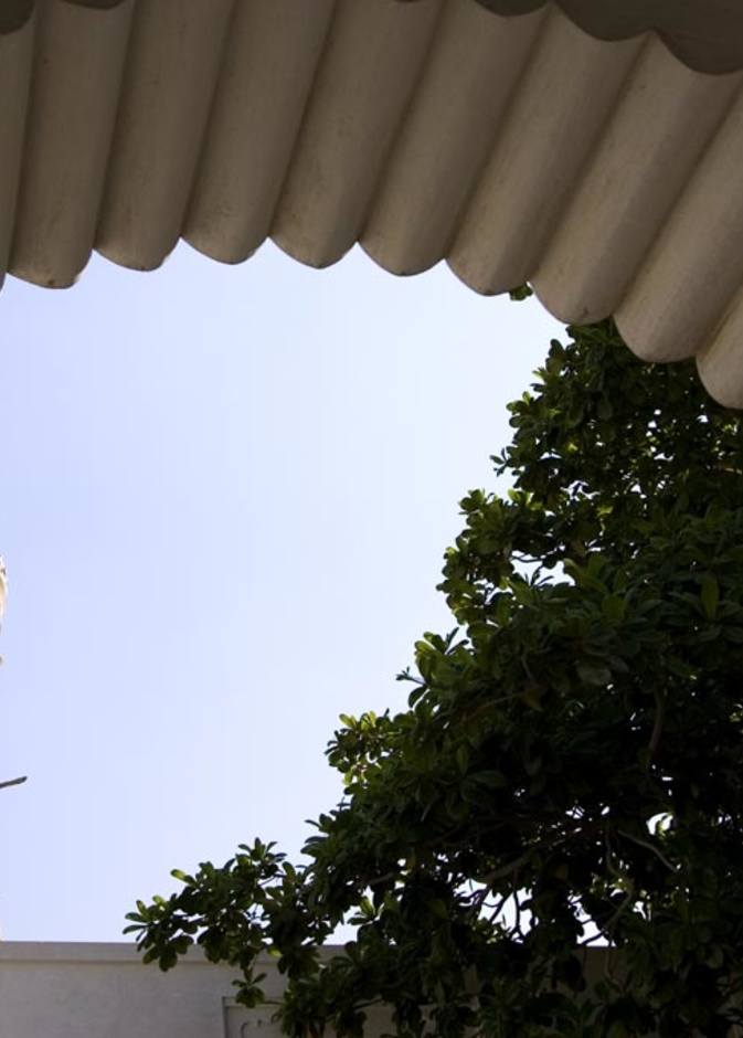 سحر التراث في متحف مجلس المدفع - المصدر قلب الشارقة