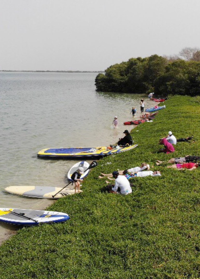 شاطىء القرم- المصدر وام
