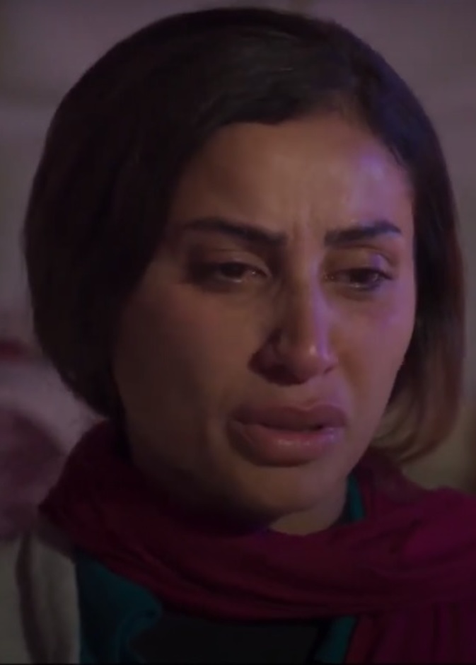 دينا الشربيني