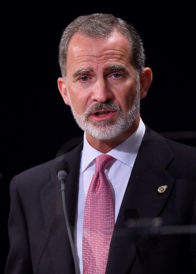 هذه هي قيمة ثروة فيليبي السادس ملك إسبانيا