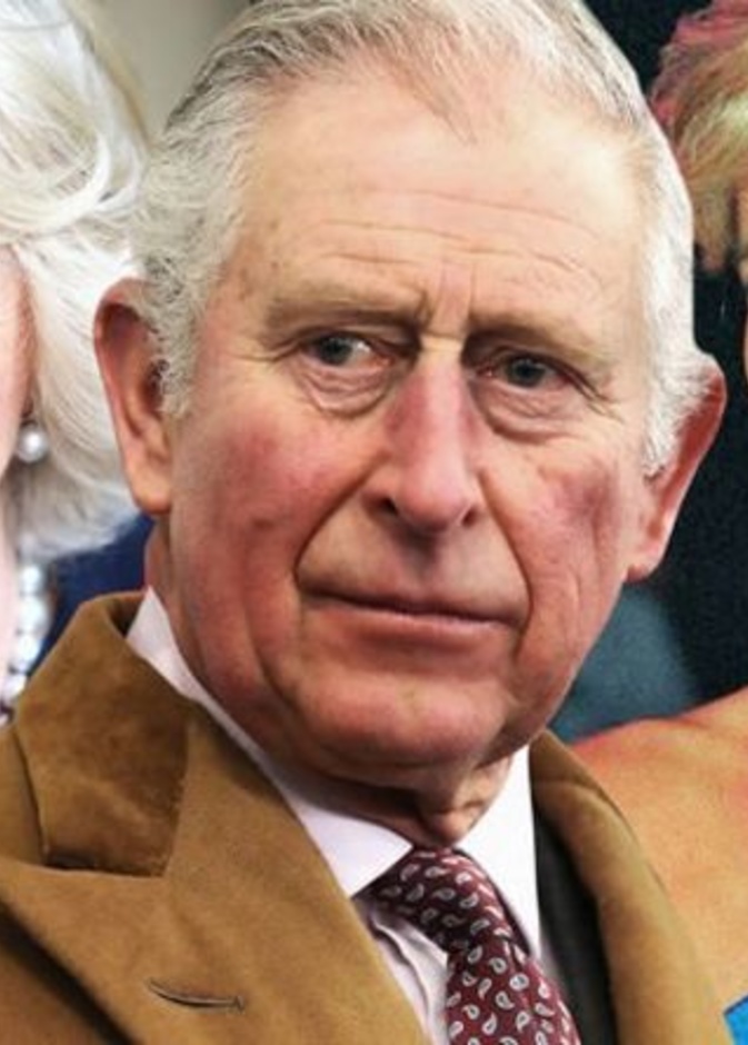 خبير ملكي ديانا كانت لتتجاوز خلافات الماضي مع تشارلز وكاميلا