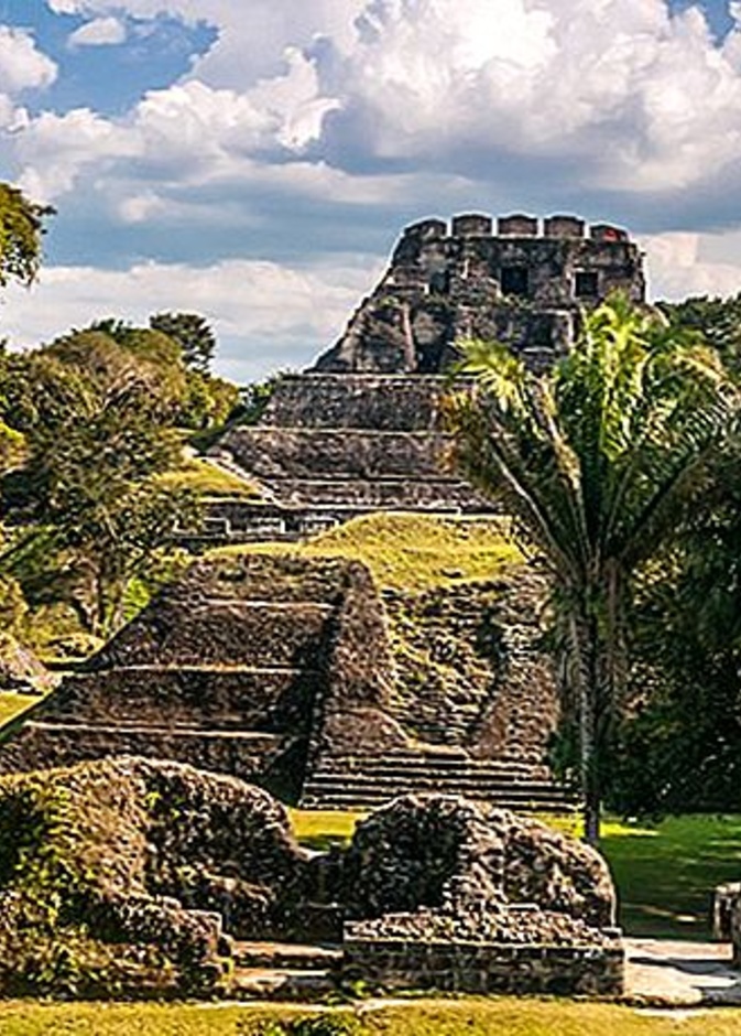 Tiffany & Co تقدّم 6.5 مليون دولار أمريكي لدعم منظمة الحفاظ على الطبيعة في خمس مناطق جغرافية