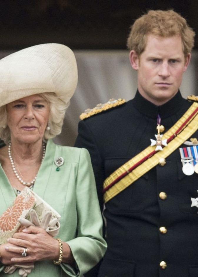 خبيرة ملكية الأمير هاري سيقوم بانتقاد زوجة والده التي يكرهها في كتابه الجديد