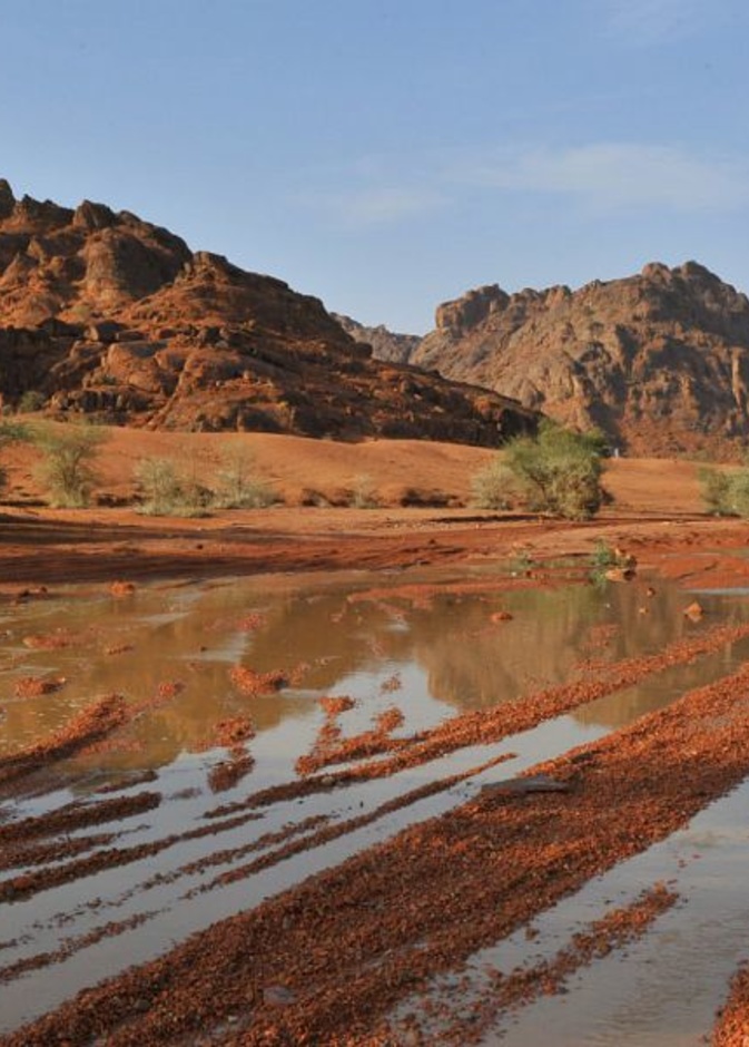 صحراء النفود