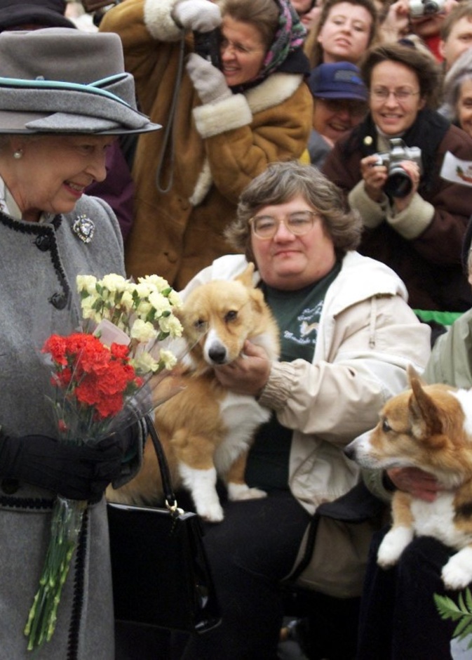 سباق لكلاب الكورجي المفضلة لملكة بريطانيا احتفالا باليوبيل البلاتيني
