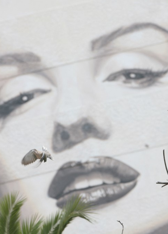 3 أسباب وراء عودة الراحلة مارلين مونرو إلى واجهة هوليوود مجددًا.. من بينها كيم كارداشيان