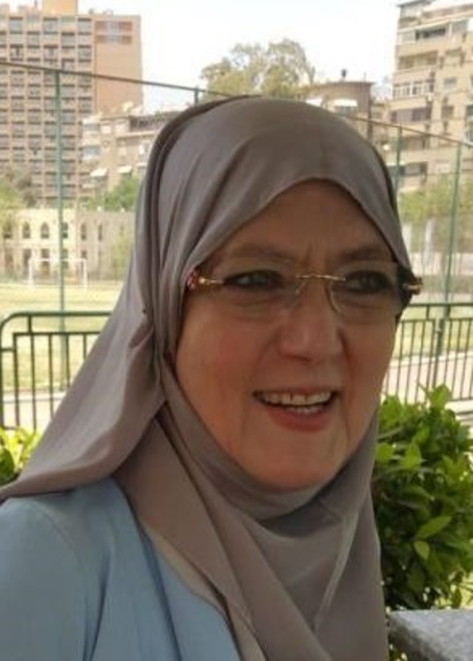 شمس البارودي