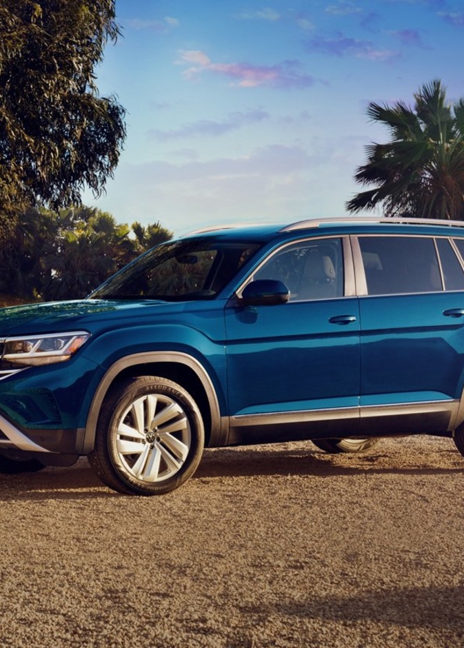 Tavendor عائلية جديدة من فولكس فاغن قريبا