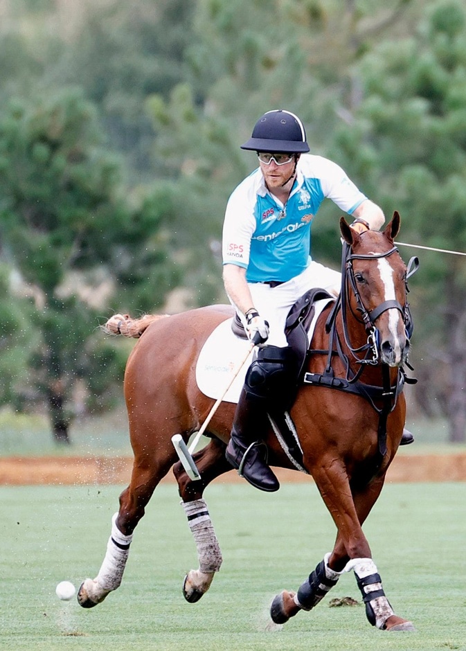 الأمير هاري قد يغيب عن حضور احتفالات اليوبيل البلاتيني للملكة بسبب البولو