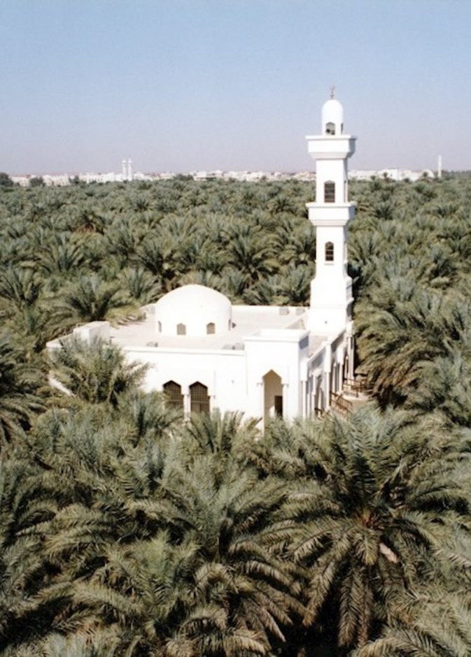 واحة ليوا التاريخية.. ملاذ ساحر لعشاق الاستجمام في أبوظبي 