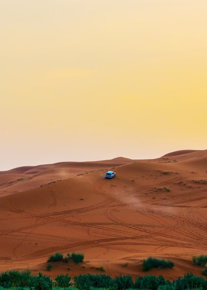 أجواء الطبيعة الساحرة في روضة الخرارة - المصدر روح السعودية