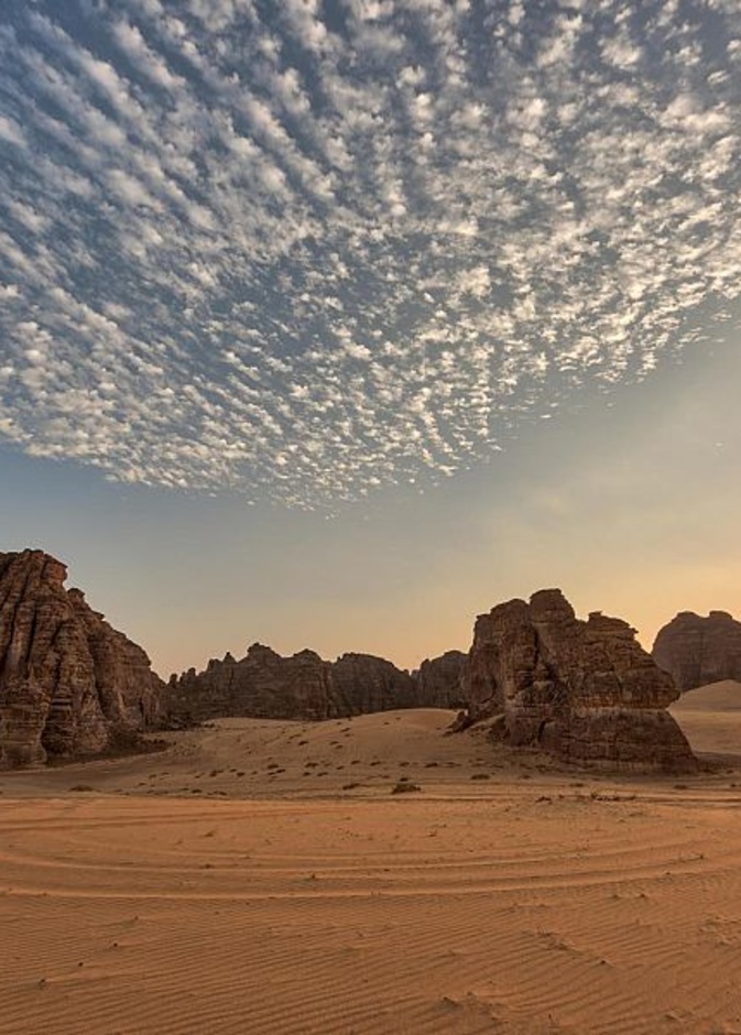 الهيئةُ الملكيةُ لمحافظةِ العُلا تطلقُ مشروعَ "وادي الفن"