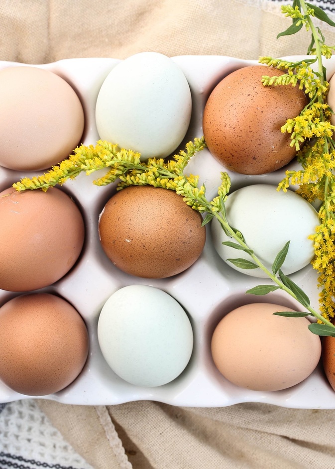 لتحمي قلبك من الأمراض تناولي البيض.. وإليك فوائده