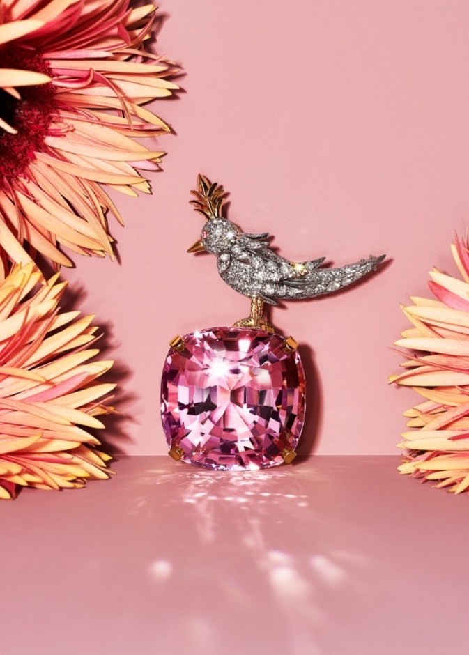 الإرث المبهر لأيقونة المجوهرات جان شلمبرجير Jean Schlumberger