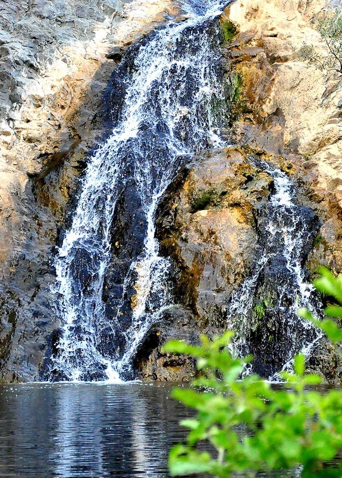 5 تجارب ممتعة لعشاق المغامرة في غابة رغدان