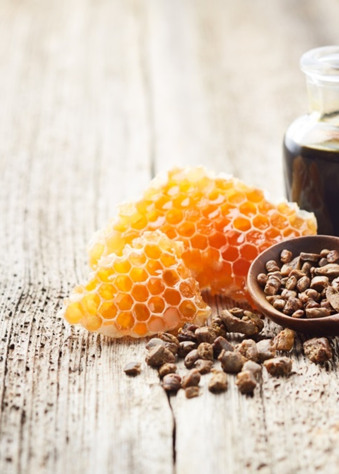 صمغ النحل مركب فريد غني بالفوائد الصحية وهكذا يمكن تناوله