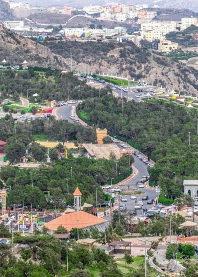 طبيعة خلابة في متنزه غابة رغدان - المصدر واس