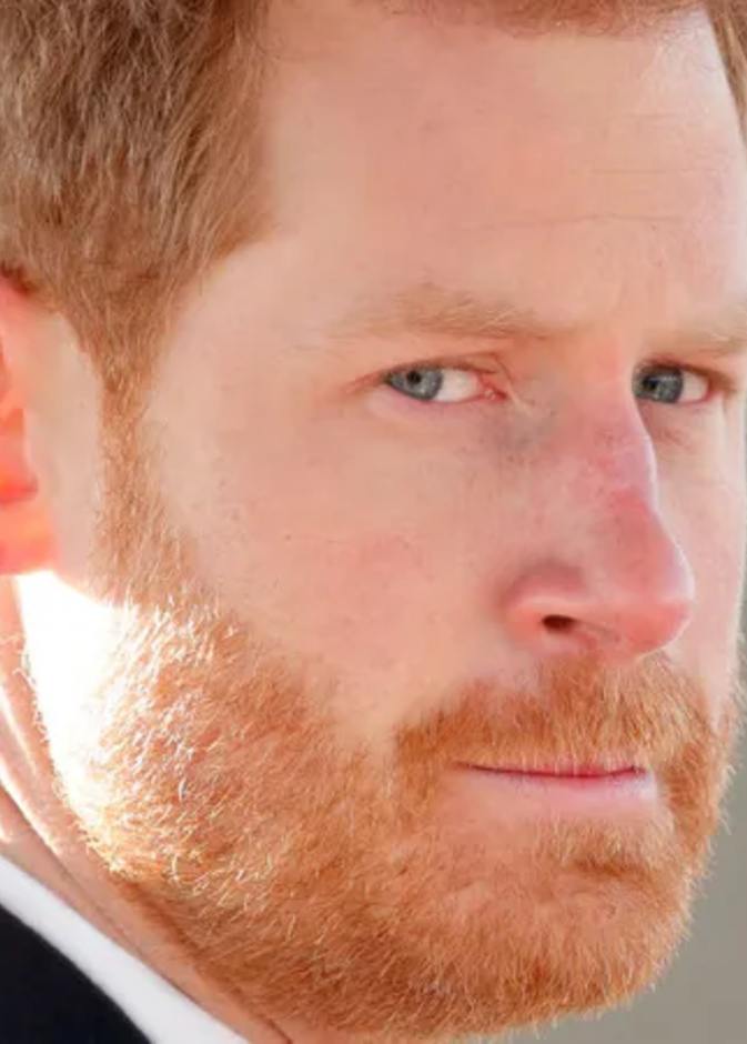 كتاب الأمير هاري الجديد يواجه منافسة قوية مع أحدث كتب ميشيل أوباما