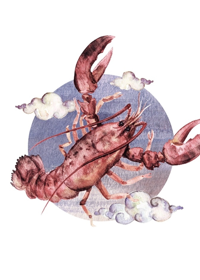 هذه الألوان يحبها رجل برج السرطان