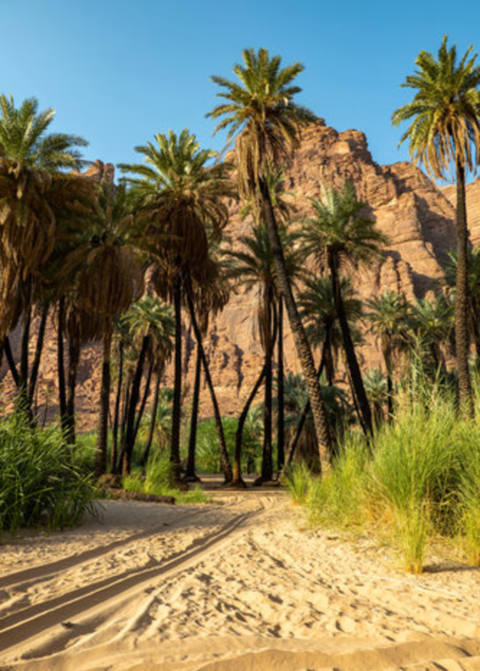 أبرز الوجهات السياحية في تبوك 