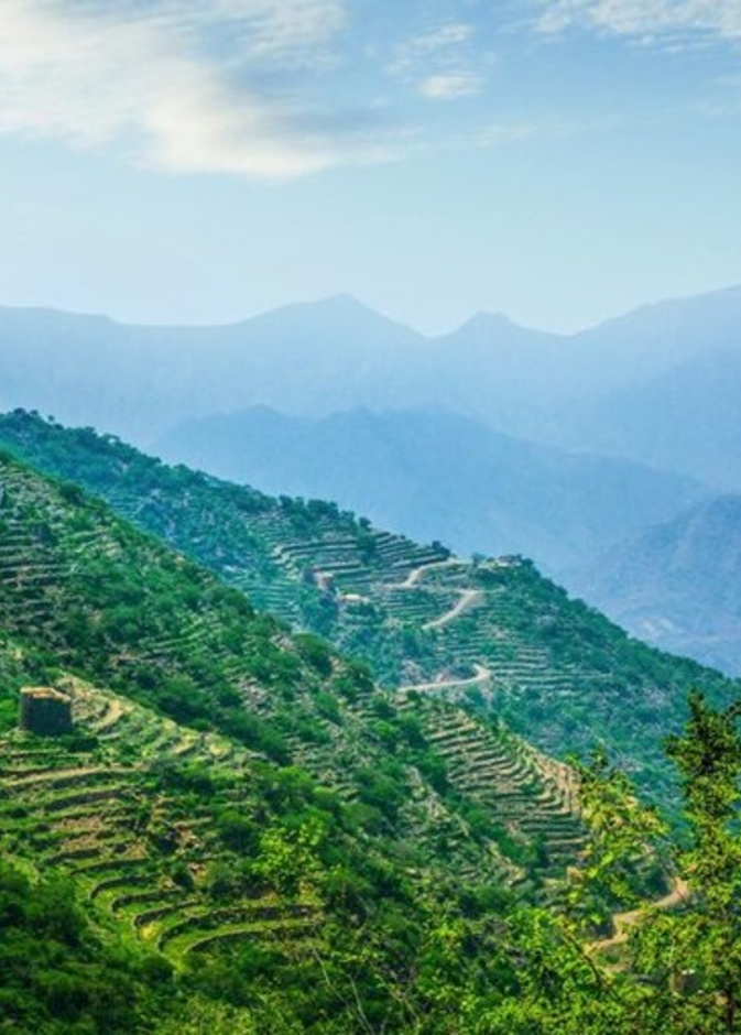 إجازتك الصيفية في الطائف.. إليكِ أجمل الفعاليات والأنشطة السياحية