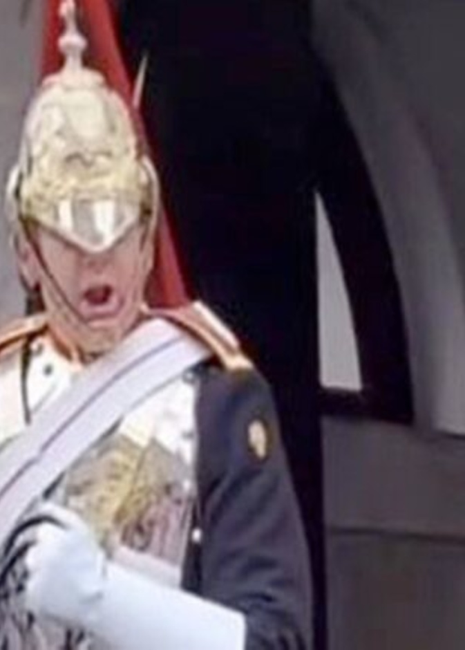 أحد حراس الملكة إليزابيث يصرخ في وجه سائحة