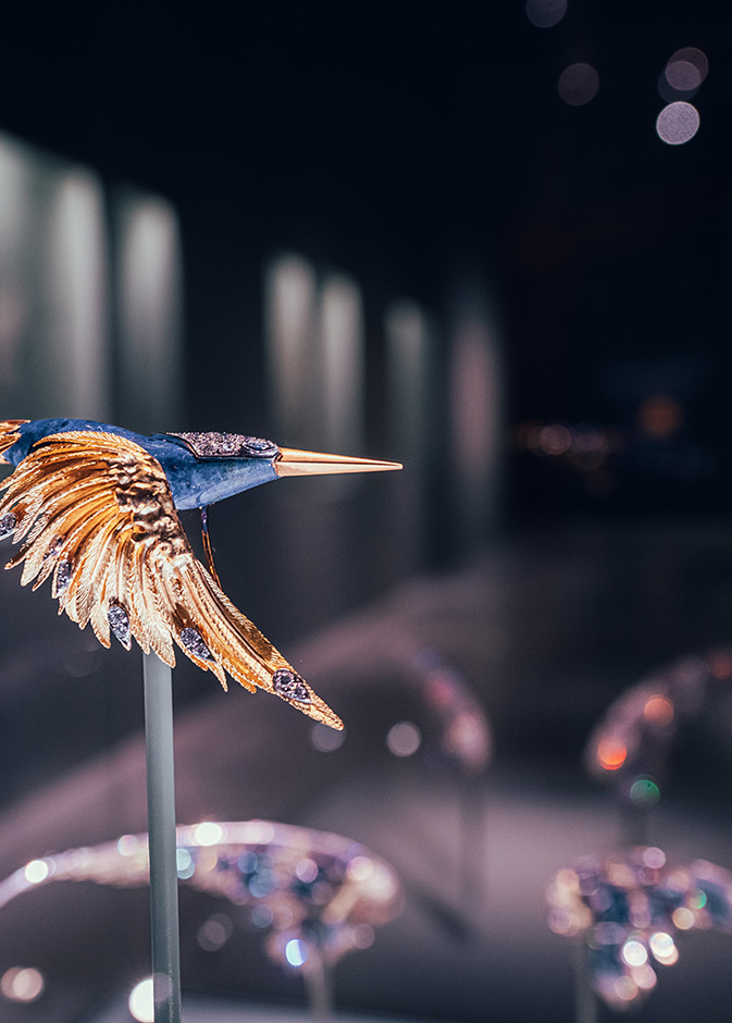 تعاون بين دار شوميه والفنان الإماراتي أحمد العريف لتسليط الضوء على أهمية الطبيعة