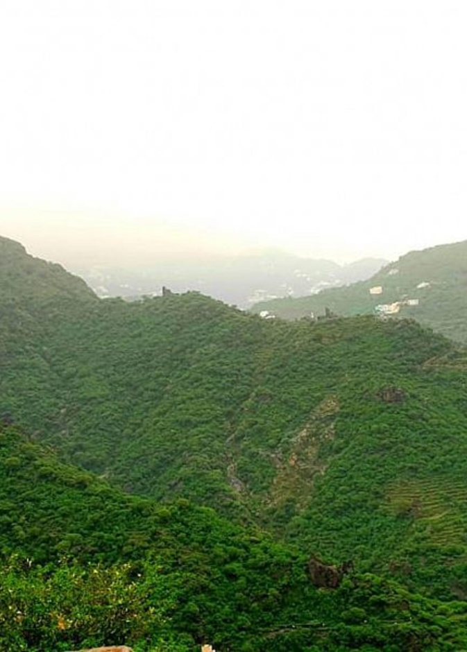 أجمل الصور فوق السحاب.. إليك أجمل 5 تجارب في فيفاء الساحرة