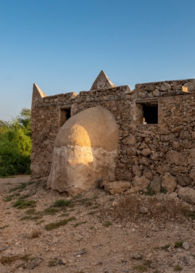 قرية القصار.. رحلة تراثية ساحرة في جزيرة فرسان بالمملكة