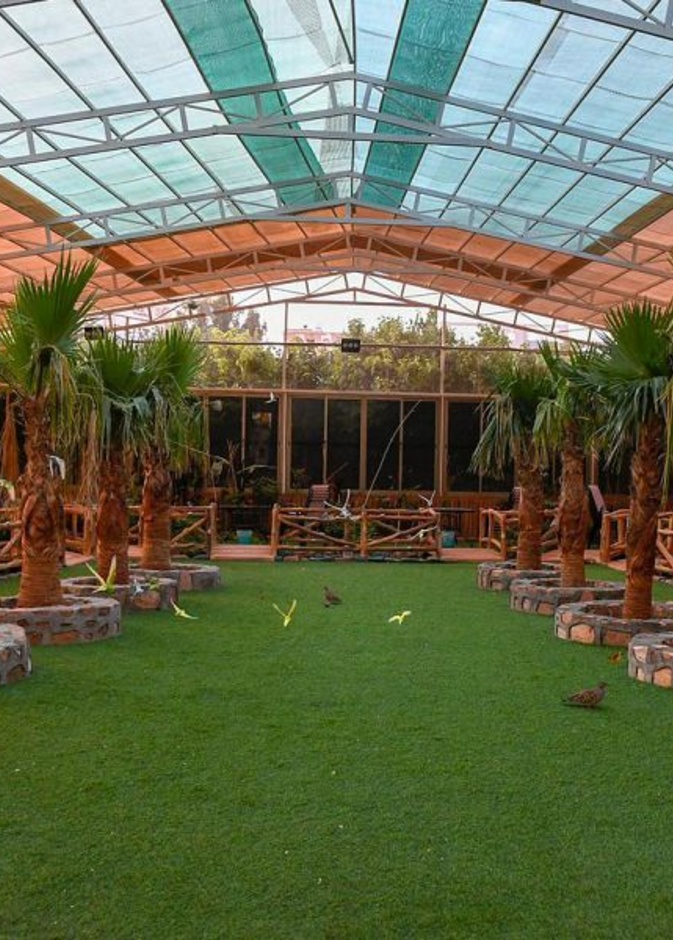 النزل الريفية وتصاميم تأسر القلوب - المصدر واس