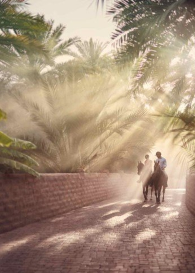 لعشاق الصيف.. إليكم 5 تجارب أسرية ممتعة في أبوظبي