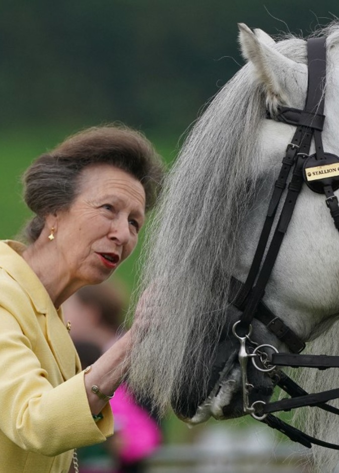 من هي الأميرة آن أكثر أفراد العائلة المالكة البريطانية نشاطًا؟