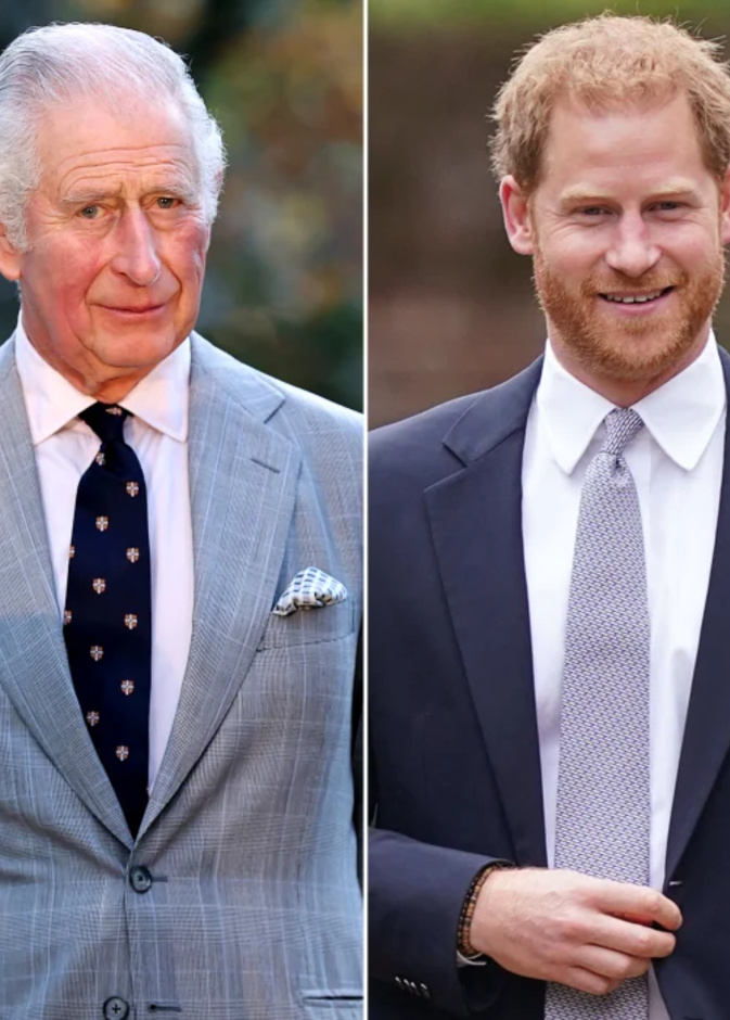 خلاف بين الأميرين تشارلز وهاري بسبب رفض الأخير الكشف عن محتوى كتابه الجديد